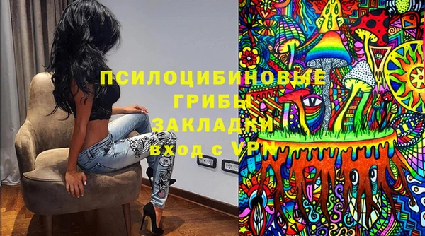 индика Балабаново