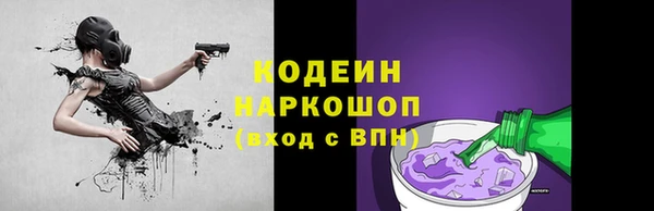 индика Балабаново