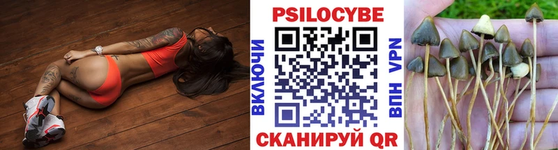 как найти наркотики Курильск кракен ссылки Псилоцибиновые грибы Psilocybine cubensis